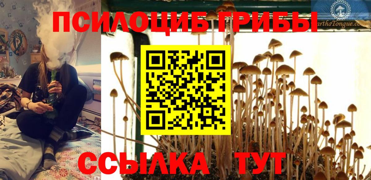 Псилоцибиновые грибы MAGIC MUSHROOMS  Галлюциногенные грибы ЛСД  Вход с VPN  Карпинск 